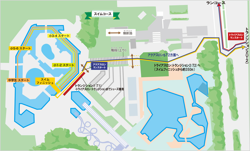 スイム・トランジション周辺図